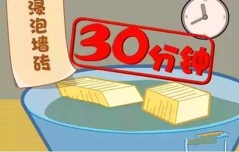 91视频网站大全