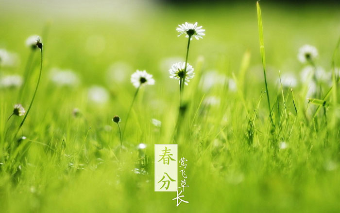 即便是春風十裏，依然不如你
