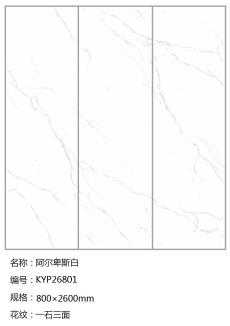 91视频官网入口 KYP26801定製